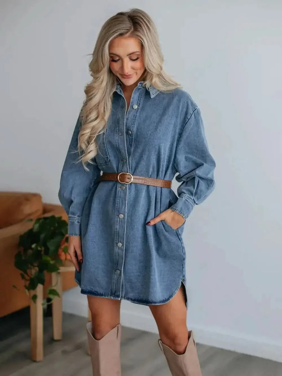 Button Up Collared Neck Long Sleeve Denim Dress - SwagglyLife Home & Fashion